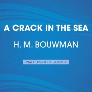 A Crack In The Sea by H. M. Bouwman