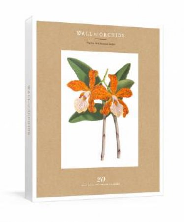 Wall Of Orchids: 20 Rare Botanical Prints to Frame by THE NEW YORK BOTANICAL GARDEN