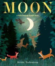 Moon A PeekThrough Picture Book