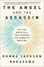 The Angel And The Assassin