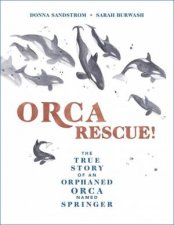 Orca Rescue The True Story Of An Orphaned Orca Named Springer