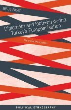 Diplomacy And Lobbying During Turkeys Europeanisation