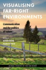 Visualising farright environments