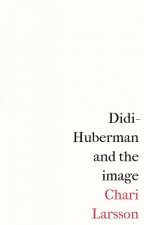 DidiHuberman And The Image