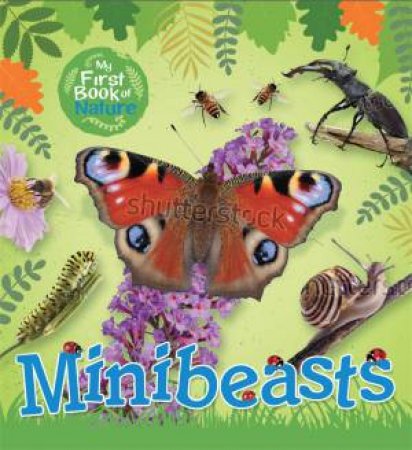 My First Book Of Nature: Minibeasts by Victoria Munson