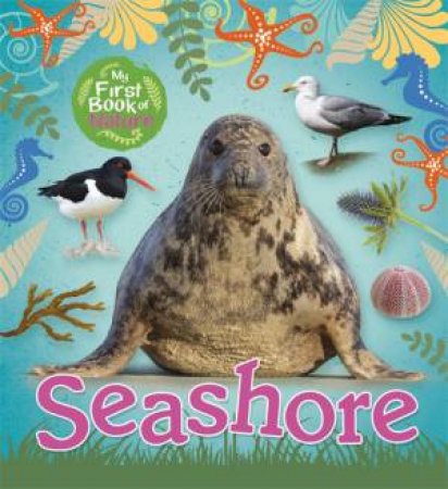 My First Book Of Nature: Seashore by Victoria Munson