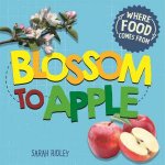 Where Food Comes From Blossom To Apple
