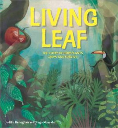 Plant Life: Living Leaf by Judith Heneghan