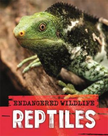 Endangered Wildlife: Rescuing Reptiles by Anita Ganeri