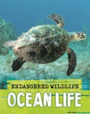 Endangered Wildlife Rescuing Ocean Life