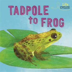 Life Cycles: From Tadpole To Frog