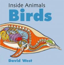 Inside Animals Birds