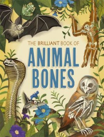 The Brilliant Book Of Animal Bones by Anna Claybourne