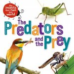 The Insects that Run Our World The Predators and The Prey