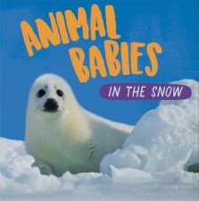 Animal Babies In The Snow