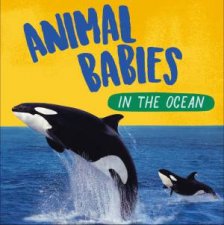 Animal Babies In The Ocean