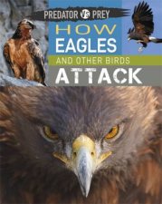 Predator vs Prey How Eagles and other Birds Attack