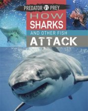 Predator vs Prey How Sharks and other Fish Attack