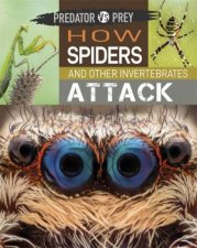 Predator vs Prey How Spiders And Other Invertebrates Attack