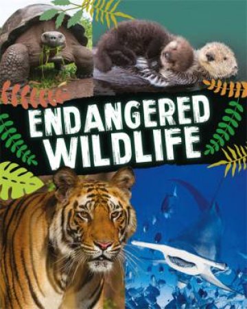 Endangered Wildlife by Anita Ganeri