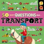 So Many Questions About Transport