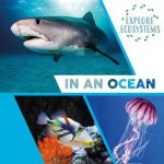 Explore Ecosystems In An Ocean