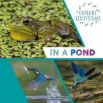Explore Ecosystems In A Pond