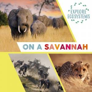Explore Ecosystems: On A Savannah by Sarah Ridley