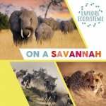 Explore Ecosystems On A Savannah