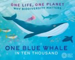 One Life One Planet One Blue Whale in Ten Thousand
