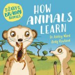 Zany Brainy Animals How Animals Learn