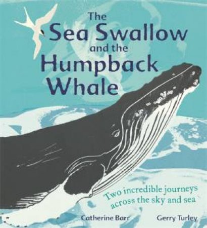 The Sea Swallow And The Humpback Whale by Catherine Barr & Gerry Turley