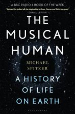 The Musical Human