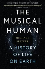 The Musical Human