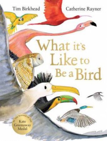 What It's Like To Be A Bird by Tim Birkhead & Catherine Rayner