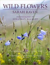 Sarah Ravens Wild Flowers