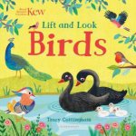 Kew Lift And Look Birds