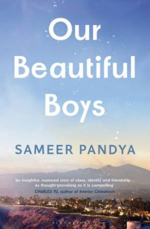 Our Beautiful Boys by Sameer Pandya