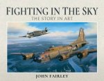 Fighting In The Sky The Story In Art