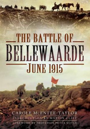 The Battle Of Bellewaarde, June 1915 by Carole McEntee-Taylor