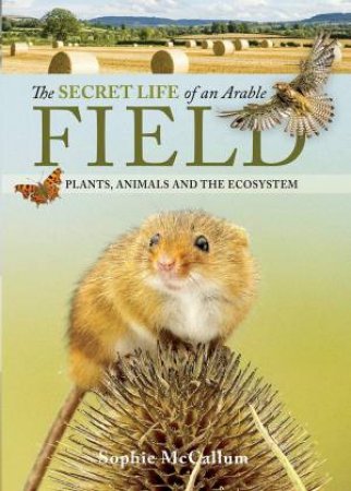The Secret Life Of An Arable Field: Plants, Animals And The Ecosystem by Sophie McCallum