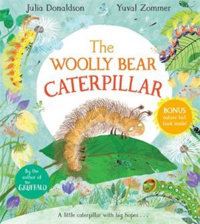 The Woolly Bear Caterpillar by Julia Donaldson & Yuval Zommer