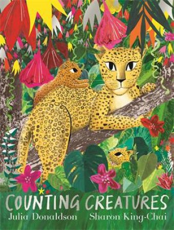 Counting Creatures by Julia Donaldson & Sharon King-Chai