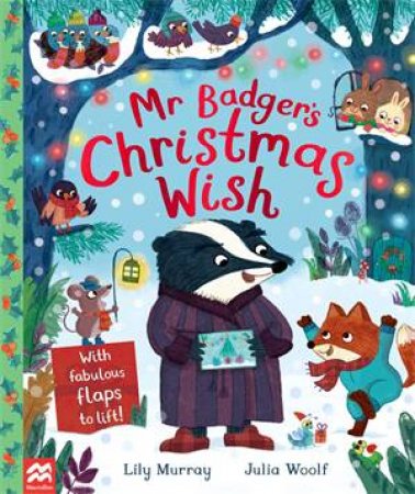 Mr Badger's Christmas Wish by Lily Murray