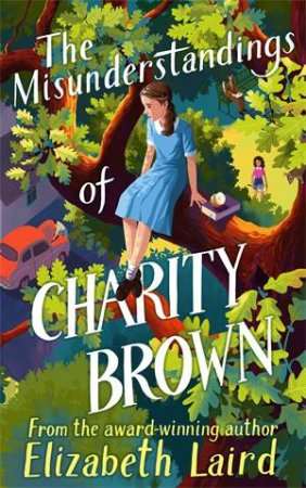 The Misunderstandings Of Charity Brown by Elizabeth Laird