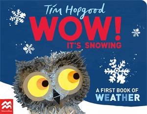 WOW! It's Snowing by Tim Hopgood