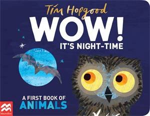 WOW! It's Night-time by Tim Hopgood