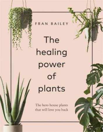 The Healing Power Of Plants: The Hero House Plants That Love You Back