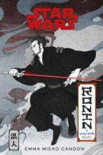 Star Wars Visions Ronin