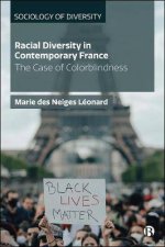 Racial Diversity In Contemporary France